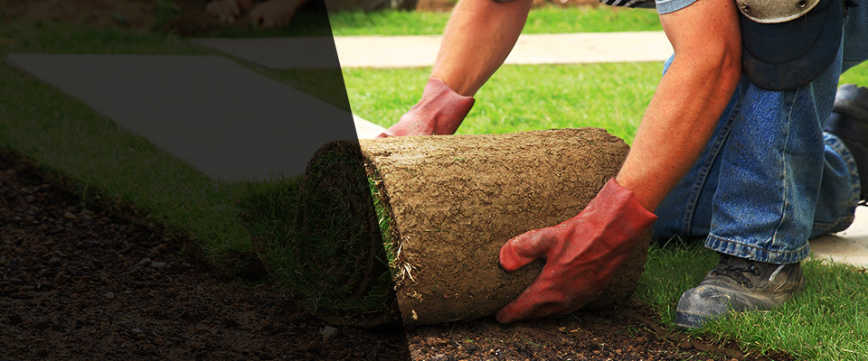 Eureka Springs Landscapers